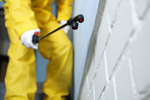 Best Fumigation Services  in Kings Mills, OH